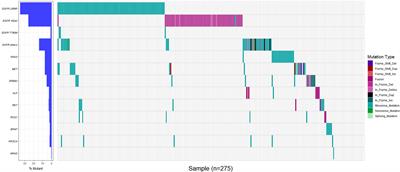 Relationship between driver gene mutations and clinical pathological characteristics in older lung adenocarcinoma